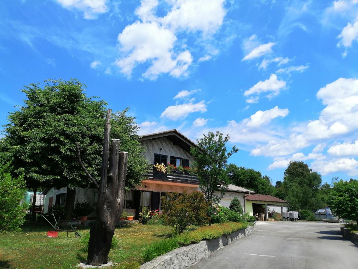 Deno Appartement Podgrad  Buitenkant foto